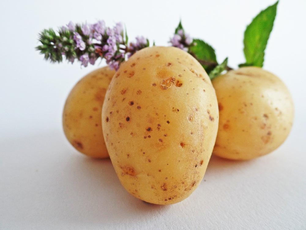 Co zrobić z ziemniaków? Przepis na angielską zapiekanką pasterską